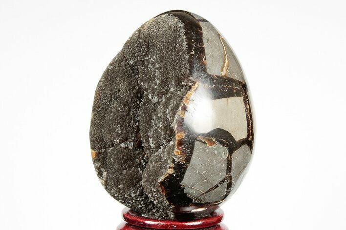 Septarian Dragon Egg Geode - Black Crystals #191504